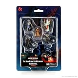 D&D Icons of The Realms ミニチュア The Wild Beyond The Witchlight (20) スターターセット 1
