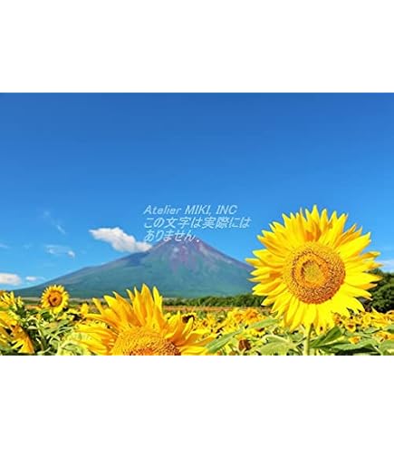 Amazon | 山口一郎 原画 ポストカード ひまわり フレーム付 | ポスト