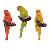 B Blesiya 現実的　オウムの装飾　動物　鳥の吊り　素晴らしい　インテリア　置物　３個　長持ち