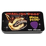 D'Andrea/ダンドレア Snarling Dogs BRAIN PICKS ピックケース付 ナイロン ギターピック12枚セット /TNSDB351 .60 (Purple)