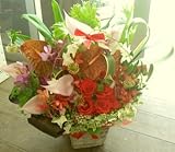 フラワーアレンジメント、豪華な花のギフト、誕生日やお祝いに【BFM】