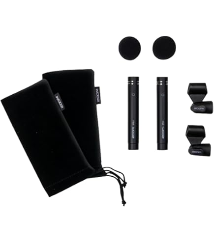 Amazon | Audix Fusion 15 Mic by Audix | コンデンサ | 楽器・音響機器