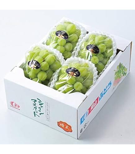 キリン イミューズ サプリメント プラズマ乳酸菌 6袋 飲み忘れチェックシート付 キリン イミューズ サプリメント プラズマ乳酸菌 6袋 飲み忘れチェック