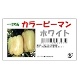 フタバ種苗 【一代交配】 カラーピーマン ホワイト 小袋詰(10粒) [カラー:ホワイト]