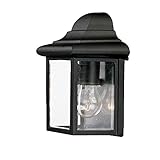 Acclaim 6001BK Pocket Lantern Collection 1-Light Wall Mount Outdoor Light Fixture, Matte Black [並行輸入