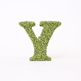 A plus floral art インテリアグリーン イニシャルモス [ Y ] アルファベット オブジェ 置物 苔 イニシャル 雑貨 北欧風 インテリア