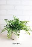 アジアンタムポット H20 U鉢 造花 観葉植物 インテリア ミニ