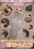 猫カフェ「カールアップカフェ」の猫ちゃんたち[DVD]