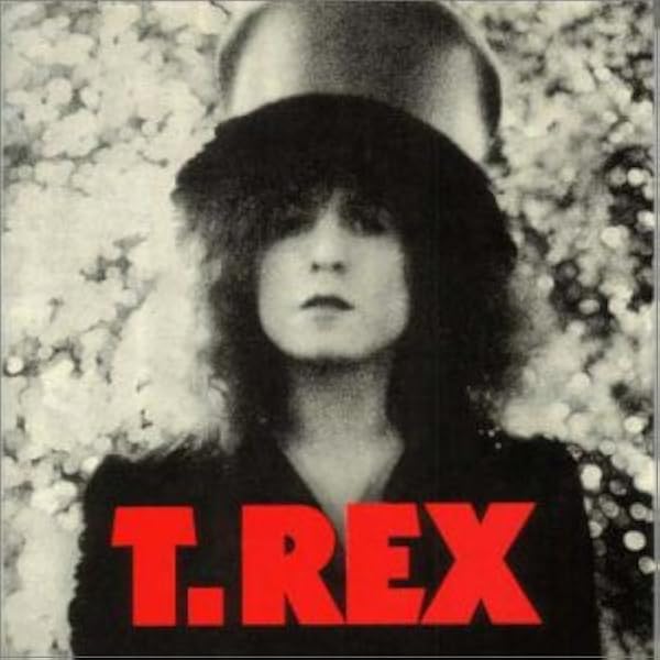 【国内初回盤ＬＰレコード】T・レックス／銀河系よりの使者 Amazon.co.jp: 銀河系よりの使者: ミュージック