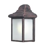 Woodbridge Lighting 60013WL-RTP Energy Saving 1-Light Outdoor Wall Sconce, Powder Coat Rust [並行輸入品]