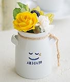 JewelzGift（ジュエルズギフト） プリザーブドフラワー 陶器ケース入り ギフト アレンジ 「水のいらないお花」 【全2色】