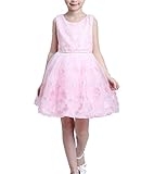 WIN 女の子 スパンコール 子供ドレス キッズワンピース 女の子スカート ガールズフォーマル パーティー 発表会 結婚式 入園式 演奏会 花嫁介添人 七五三 卒業式 お嬢様のドレス (110cm, 
