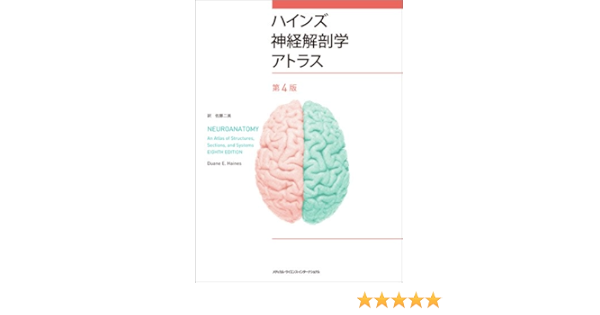 Seal限定商品 臨床神経解剖学 原著第6版 健康 医学 Www Constructor31 Com