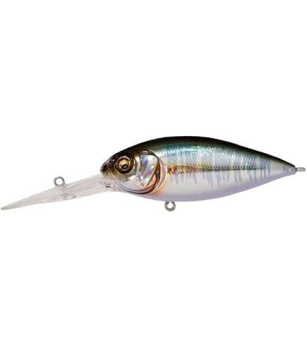 Amazon.co.jp: メガバス(Megabass) ルアー DEEP-X300 BIWAKOブルー