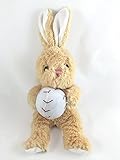 Baby's First Baseball Plush Bunny [並行輸入品]