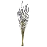 東京堂　ドライフラワー ラベンダーＥＵ(30ｇ入)　＃ナチュラル DE017231