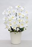 アートフラワー造花・高級胡蝶蘭3本立て,光触媒品