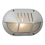 Galaxy Lighting 320260MS Oval Marine Outdoor Sconce [並行輸入品]