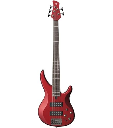 Amazon | Ibanez アイバニーズ 5弦エレキベース 左利き用 SR505EL-BM
