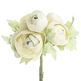 ペアのSweetクリーミーRanunculous Bouquetsの作成とEmbellishingクラフト用、