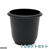 KUポット 3.5号(外径10.6×高さ9.5cm) 黒 10鉢セット