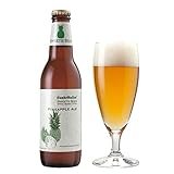 サンクトガーレン限定品パイナップルエールフルーツビール瓶330ml6本