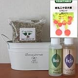 赤丸二十日大根（ピラピック）の栽培セット/豊作セット（液体肥料付き）プランターホワイト仕様