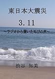 東日本大震災 ３．１１～ラジオから聞いた叫びの声～ (ヒロエンタープライズシリーズ)