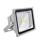 Orienex LED 投光器 50W 作業灯 防犯用 看板灯 駐車場灯 昼光色 電球色 防水・防塵 キャンプや夜釣り 屋内外対応