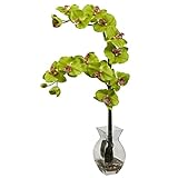 Nearly Natural 1295-GR Phalaenopsis Orchid with Vase Arrangement, Green [並行輸入品]