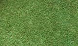 人工芝 ＜FIFA認定工場で生産 高品質 形状記憶＞ 芝生 [幅1ｍ×長さ10ｍ] 【弁天インテリア】