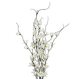 (ヒル・インテリアズ) Hill Interiors リリー オーキッド 造花 アーティフィシャルフラワー イミテーションフラワー デコレーション (ワンサイズ) (クリーム/グリーン/ブラウン)