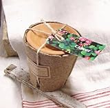 ジャルディナージュ オキザリス