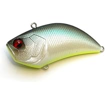 Amazon | レイドジャパン レベルバイブ B.I.G. (LVL001. SHIMANASHI