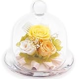 liLYS épice プリザーブドフラワー バラ 薔薇 ３輪 ギフト 誕生日 結婚祝い お祝い などに 【 ガラスドーム・シンプル型 】ハニーイエロー