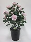 ”超質感”光触媒アートフラワー（造花）　ばら（バラ・薔薇）２本立ち（ピンク）生花と間違えるほどのリアルな質感をぜひ体験してください。贈り物・母の日・新築祝・開店祝・誕生日・記念日・卒業式・入学式・ギフ