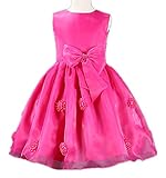 CHD ベビー キッズ プリンセス ドレス 花柄 子供 ワンピース フォーマルドレス 結婚式 発表会 入園式 出産祝い ブルー チュール 花嫁介添人 赤ちゃん お宮参り ノースリーブ ドレス (90(