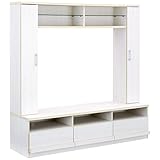 ハイタイプ 収納 テレビ台 キューデ (ウッドホワイト A（ディスプレイ）)