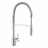 Hansgrohe 04700 Talisループシングルハンドルsemi-proキッチン蛇口with Toggle SPR、 04700005