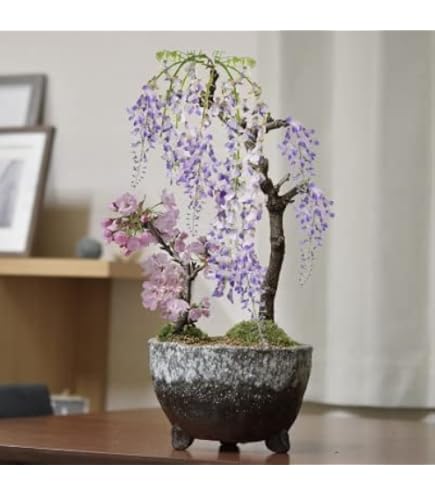 Amazon｜折り鶴盆栽(河津桜盆栽)No.51｜観葉植物 オンライン通販