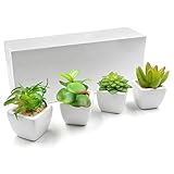 TOSSOW 人工多肉植物 ミニ 人工観葉植物 枯れない インテリア 4点セット 方形