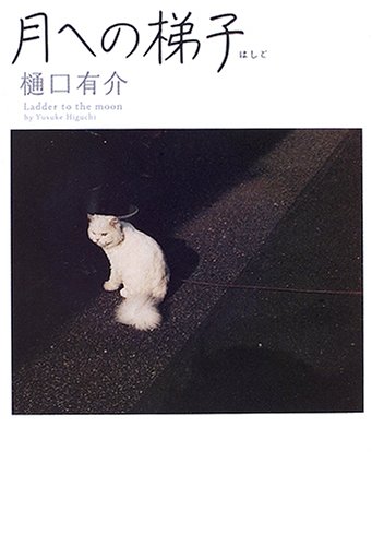 月への梯子