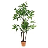 不二貿易 観葉植物 パキラ スタンダード 高さ172cm グリーン 52666