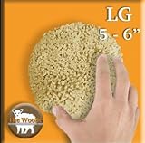 Large Natural Sea Sponge