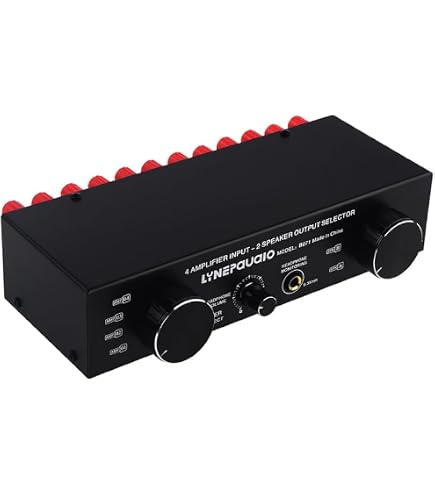 Amazon.co.jp: EBTOOLS LYNEPAUAIO 3-in-3-out アンプ スピーカー