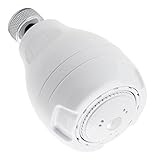 LDR 620 3301WT 3 Function Showerhead, White [並行輸入品]