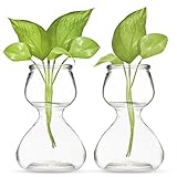 Garden Guru 植物繁殖ステーション – 水耕栽培植物育成用の自立型砂時計花瓶 – ユニークなダブルバブルデザイン ホームデコレーション用 (2個セット)