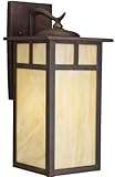 Kichler Lighting 9148CV Alameda 15-Inch 1-Light Incandescent Outdoor Wall Mount, Canyon View with Ho
