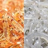 高級天然 海のルビー 神秘の駿河湾 桜えび・駿河湾しらす 白箱入 （生桜えび100ｇ×1パック、生しらす100ｇ×1パック）1箱［計200g］