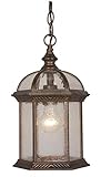 Vaxcel Vaxcel OD39786RBZ Chateau 8" Outdoor Pendant, Royal Bronze [並行輸入品]